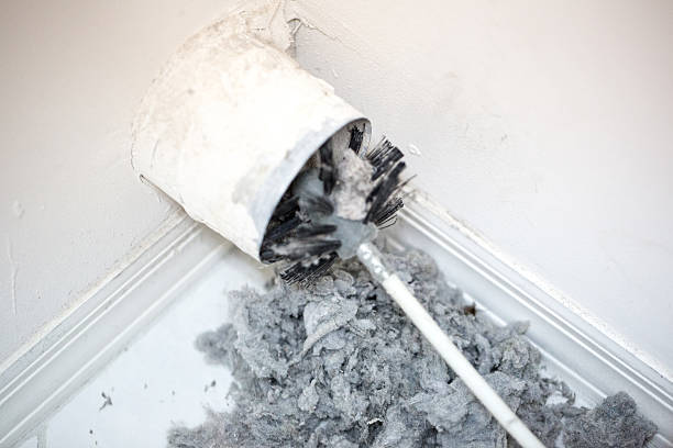 Best HVAC Duct Inspection Services  in Loughman, FL